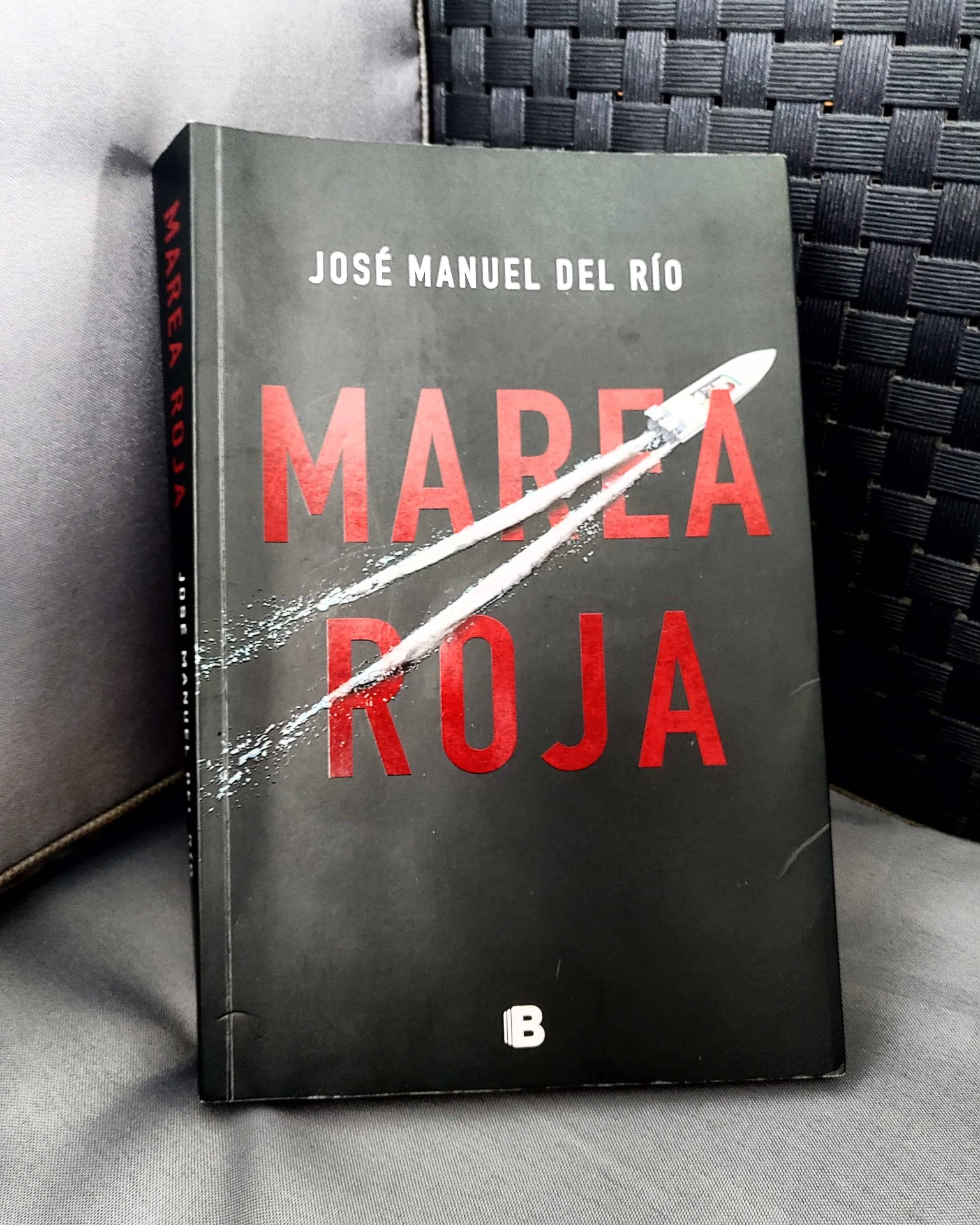 Imagen de Lectoras Cotorras
